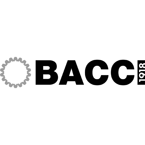 Paolino Bacci srl Logo